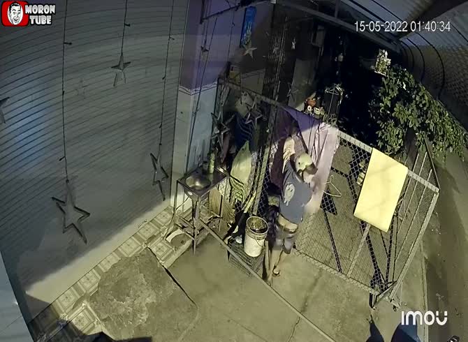 Video :He tries to steal balloons, and gets smashed!